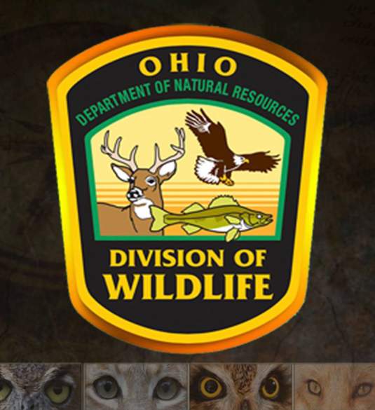 ODNR-Division of Wildlife