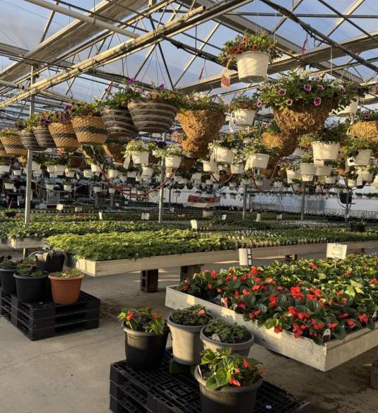 Four Peaks Greenhouse