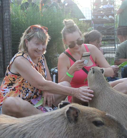 African Safari Wildlife Park