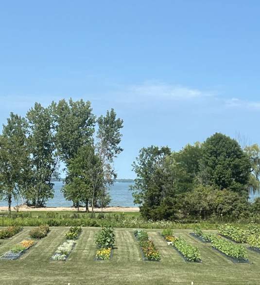 Driftwood Farm