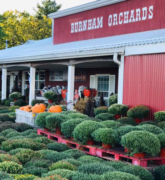 Burnham Orchards