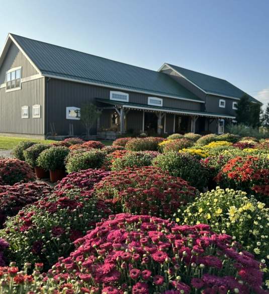 Quarry Hill Orchards
