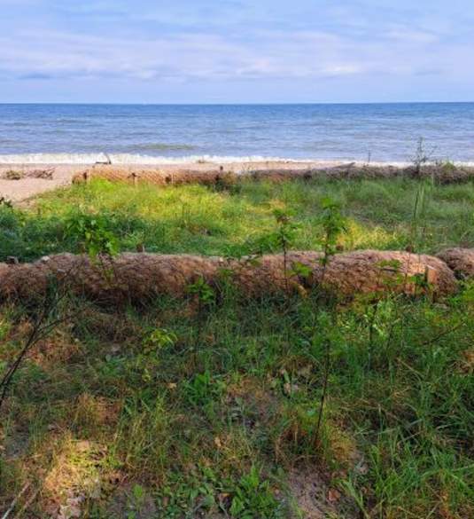 Old Woman Creek Barrier Beach