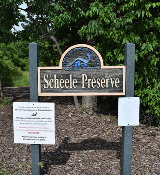 Scheele Preserve