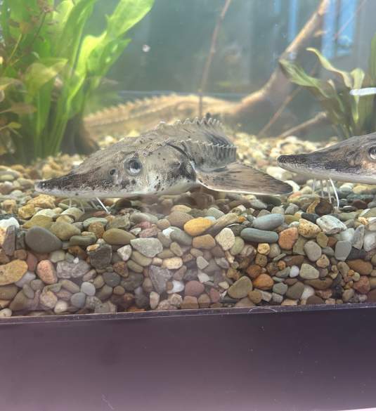 Aquatic Visitors Center