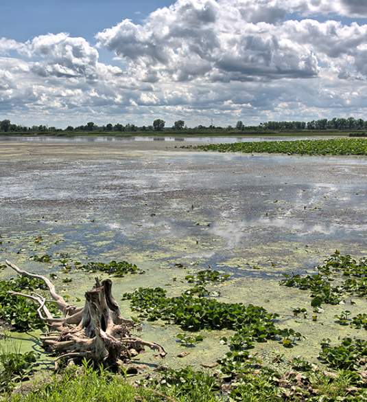 Metzger Marsh Wildlife Area