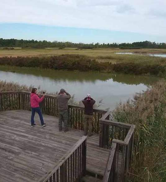 Pickerel Creek Wildlife Area
