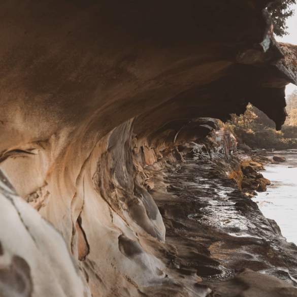 Regional Gems: Must-Do Day Trips From Nanaimo