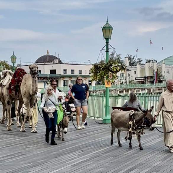 Inside Marty Supreme’s Westchester Filming Locations