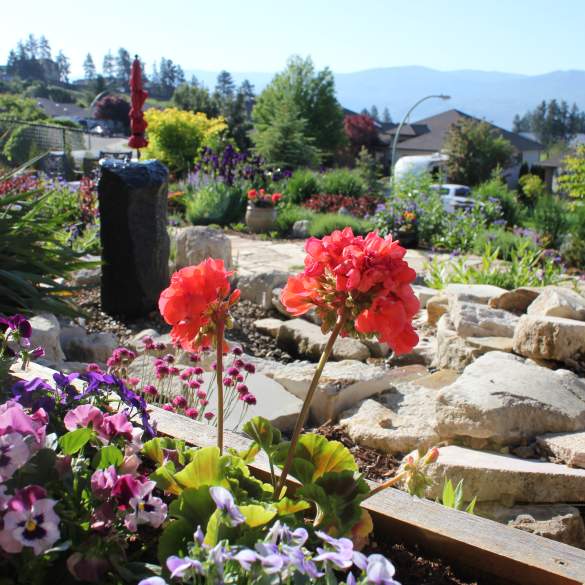 The Musical Garden Cafe hosted by A Touch of Austria