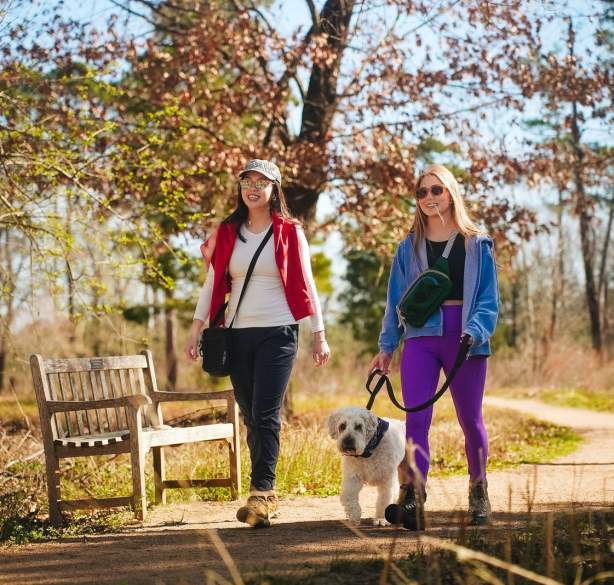 Women walking a dog