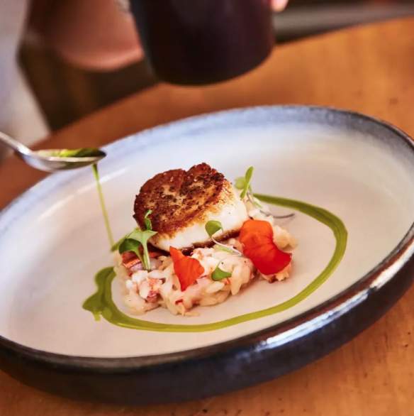 Scallop Dish Cafe Gelato