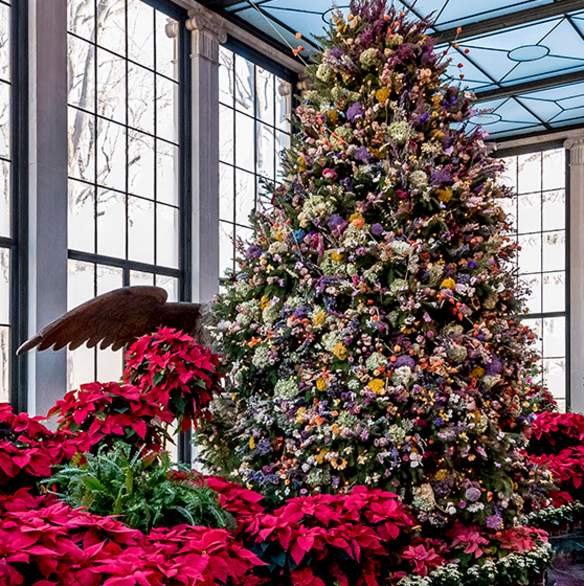 Winterthur Yuletide Interior Header