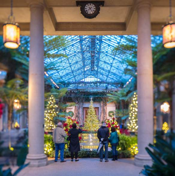 A Longwood Christmas