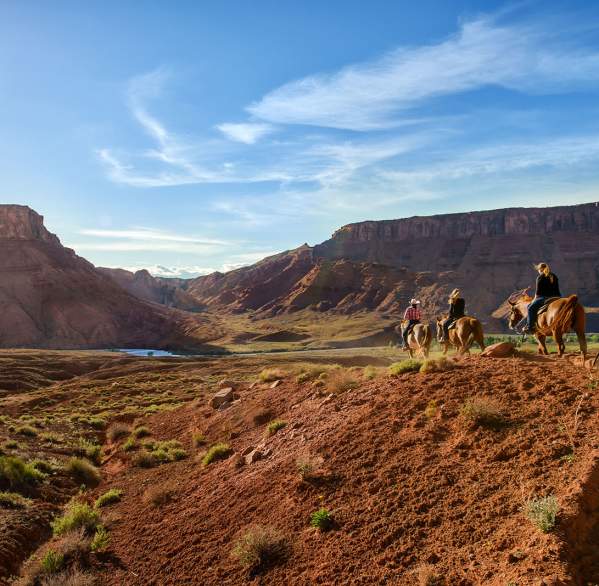 Horseback Riding