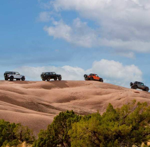Jeep safari