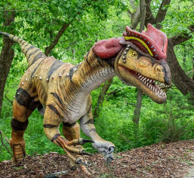Dinosaurs Unearthed: A Trek Through Time