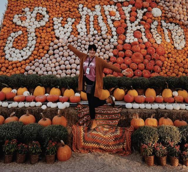 Junkstock: Harvest Edition