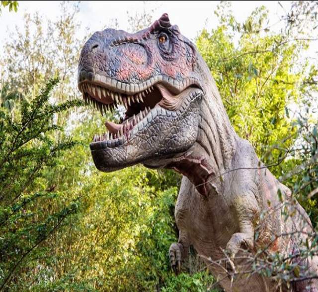Dinosaurs Around the World: The Great Outdoors