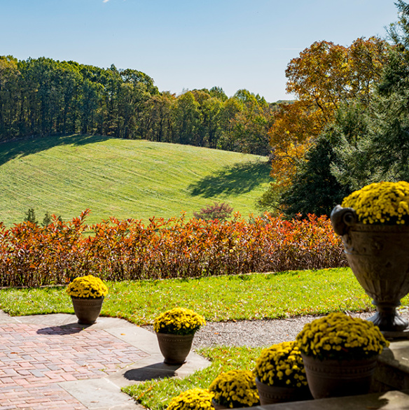 Fall at Mt Cuba