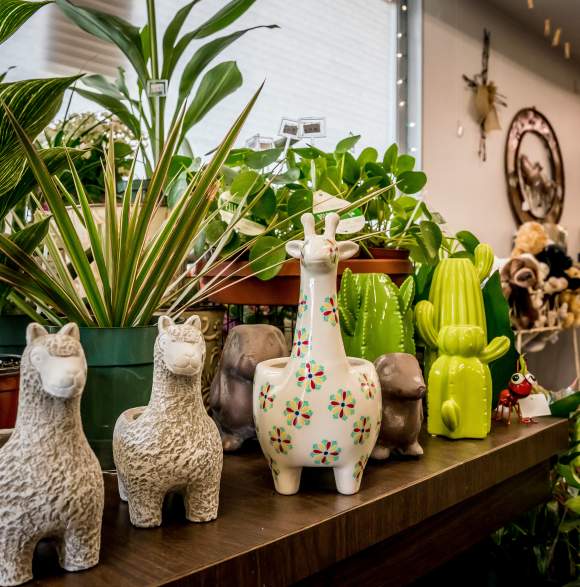 Devils Lake Greenhouse Retail