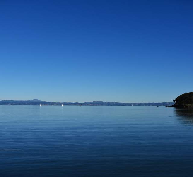 Oyster Point SSF Bay