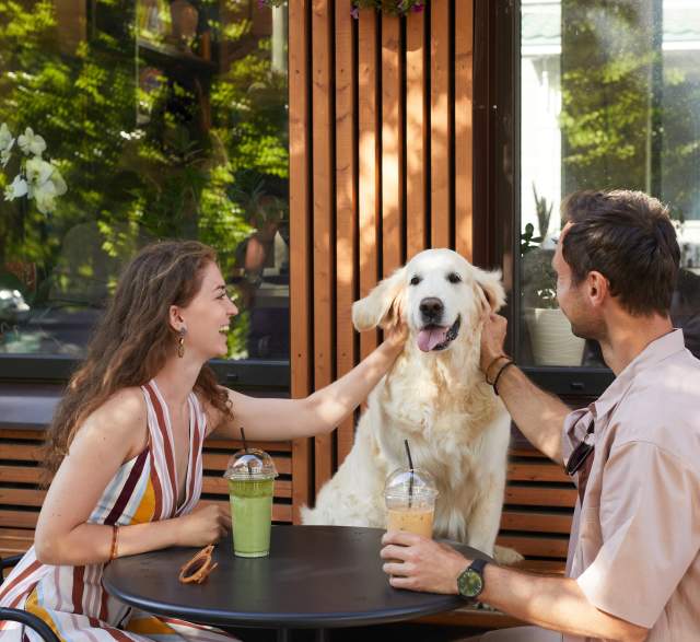 Best Dog-Friendly Cafés on the San Francisco Bay Area Peninsula (2026 Guide)