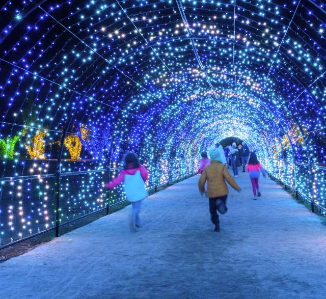 Holiday Activities on The San Francisco Peninsula