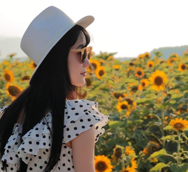 Your Perfect Fall Day Trip: Sunflowers & Pumpkins at Andreotti Family Farm