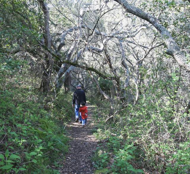 Things To Do In San Bruno, CA