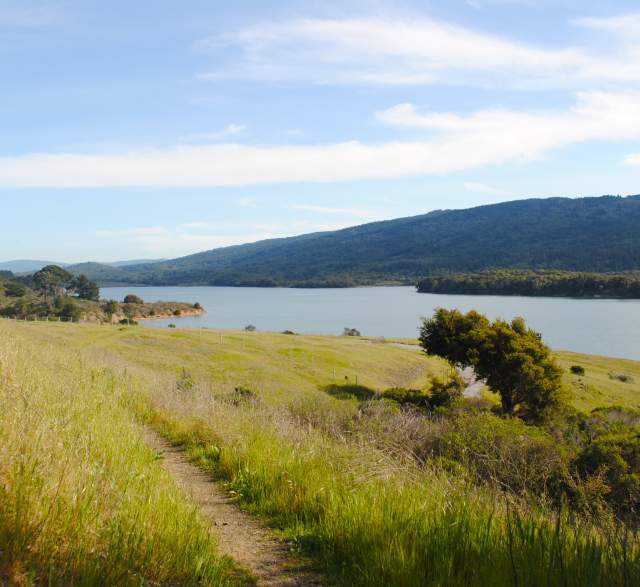 Crystal Springs Regional Trail