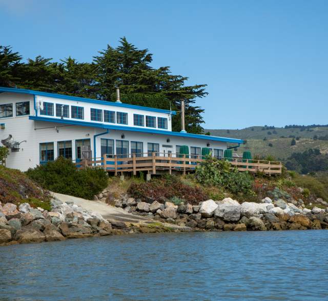 Mavericks House