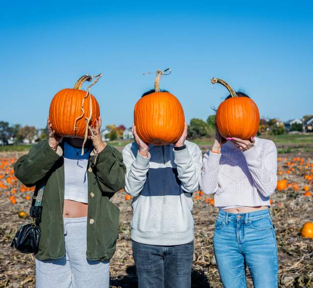 Toms Farm Pumpkins