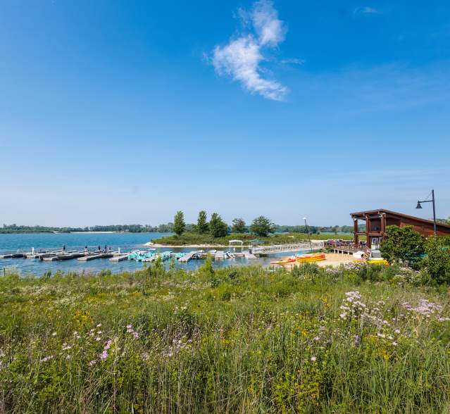 Three Oaks Recreation Area