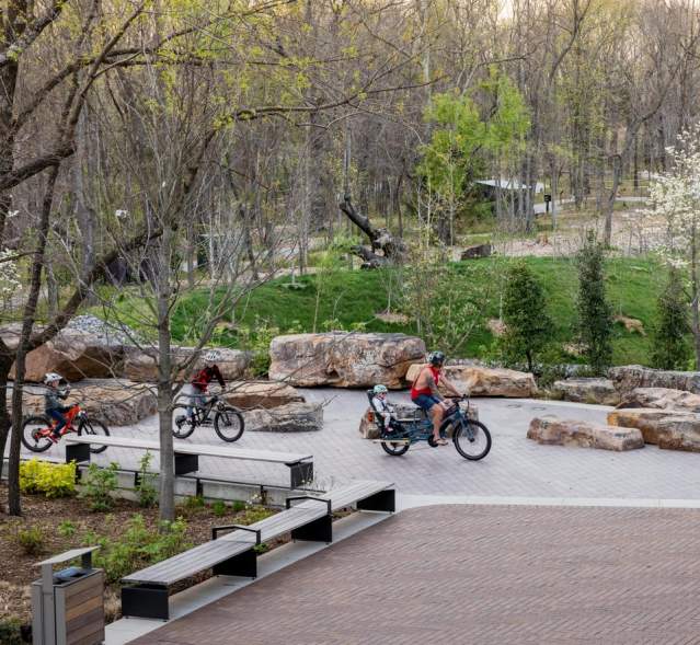 Stress-Free Bentonville Mountain Biking: Local Guided Tours for All Skill Levels