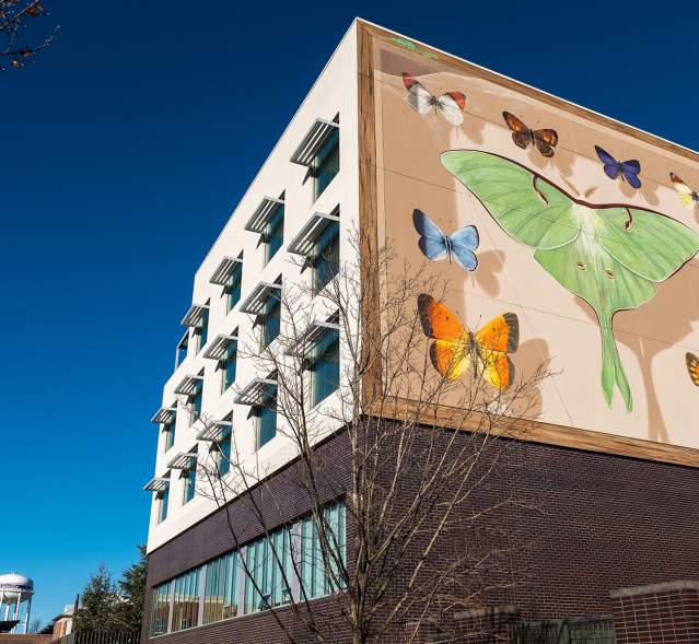 Mantra "The 21st Collection" 2020