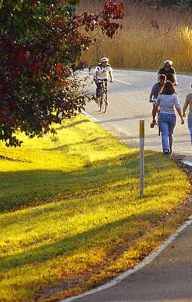 A small group of people walk along a paved path at sunset while a person on a bicycle passes approaches
