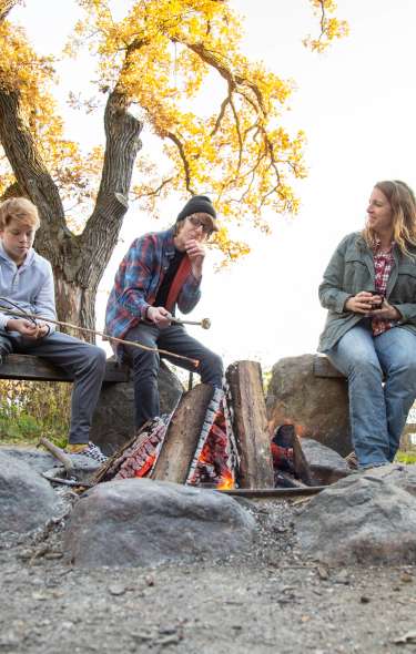 Five adults of mixed age and gender sit around a campfire. Some are roasting marshmallows. The leaves are changing color for Fall