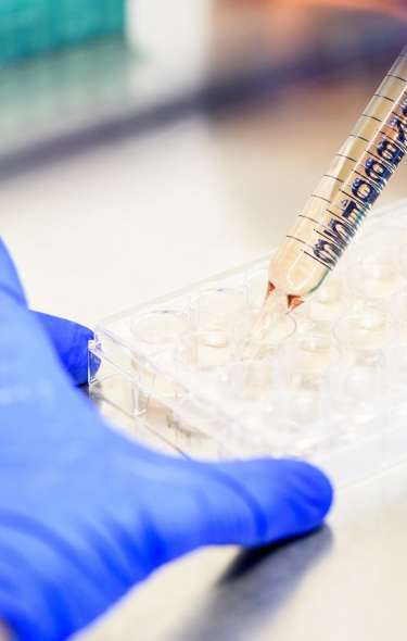 Laboratory worker using a dropper to test samples