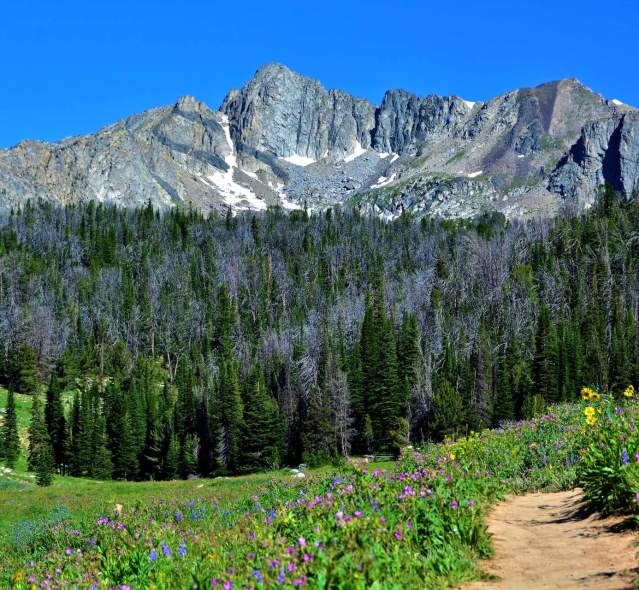 7 Hikes In Big Sky, Montana