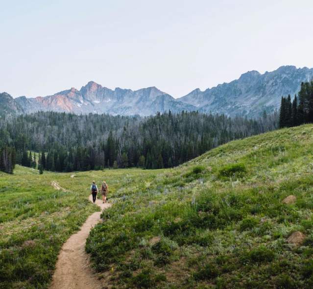 fieldandforest-visitbigsky-beehivebasin_WEB
