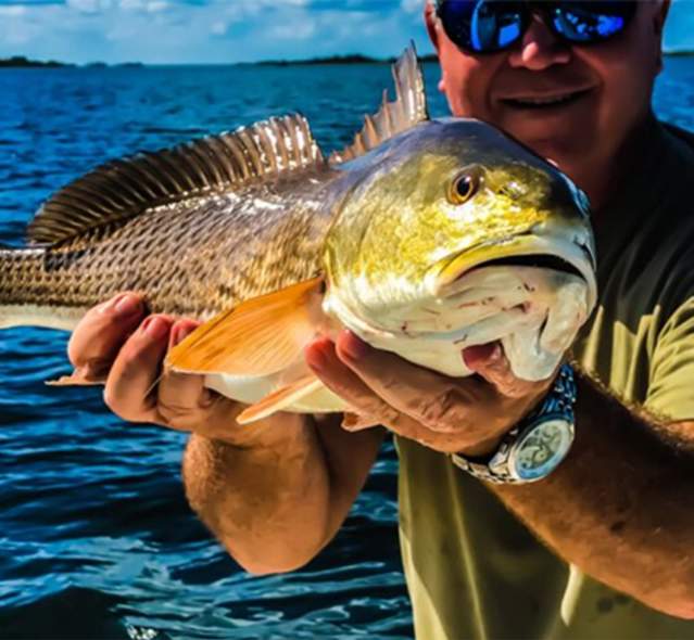 Capt. Frank Riddick Fishy Bizness