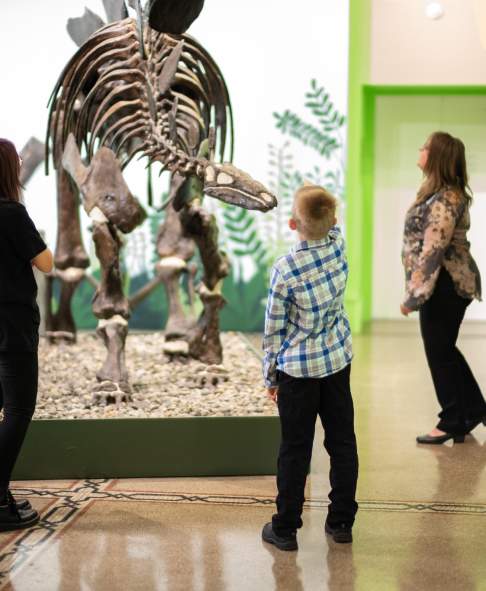 museum