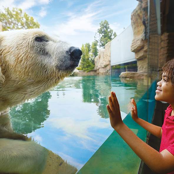 Kids Free October at the San Diego Zoo Safari Park