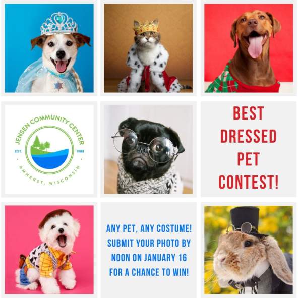 "Best Dressed Pet" photo contest
