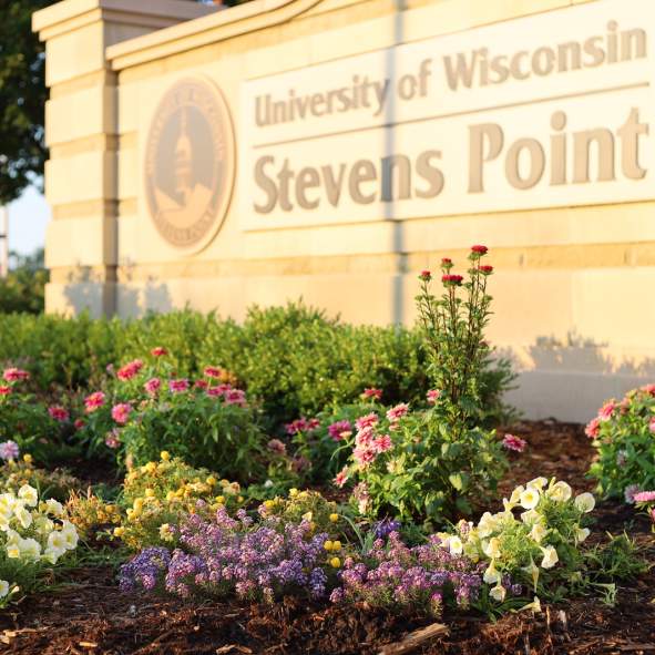 Artist Exhibition - Story Spun Slow