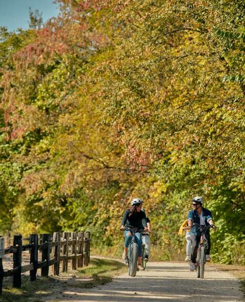 Cycling in Fall