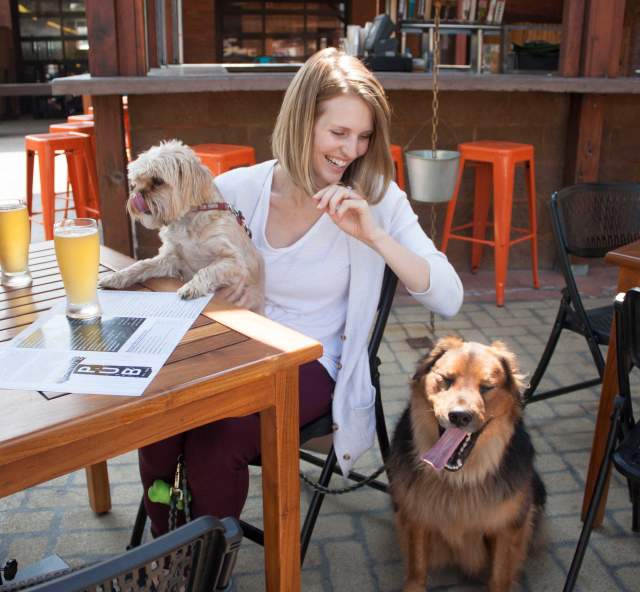 How To Have A Dog-Gone Good Time Downtown
