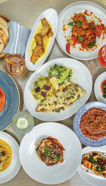 Variety of food dishes