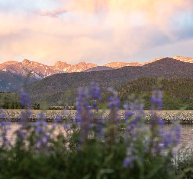 Granby, Colorado - Lake Granby Sunset and Flowers